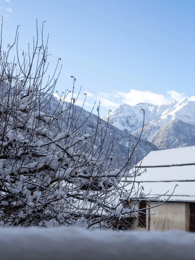 The Winter Hideaway Retreat in Val Müstair is officially sold out.
We’re deeply grateful and so excited to begin the new year in this historic valley, surrounded by snow, silence and a group of wonderful people who chose to start 2026 with intention, clarity and community.If you didn’t get a spot this time, there is still a chance to join us for our Baltic Experience Retreat in Lithuania this March.
Same spirit: Daily yoga, pranayama, ice baths, sauna, nourishing local cuisine, meaningful conversations.
Different landscape: Forests, lakes and the magical quiet of the Labanoras region.
A retreat that invites you to arrive fully, reconnect deeply and give yourself space to breathe.Spots are still available.
We would love to welcome you there.
Link in bio.#valmüstair #retreat #biosferavalmüstair