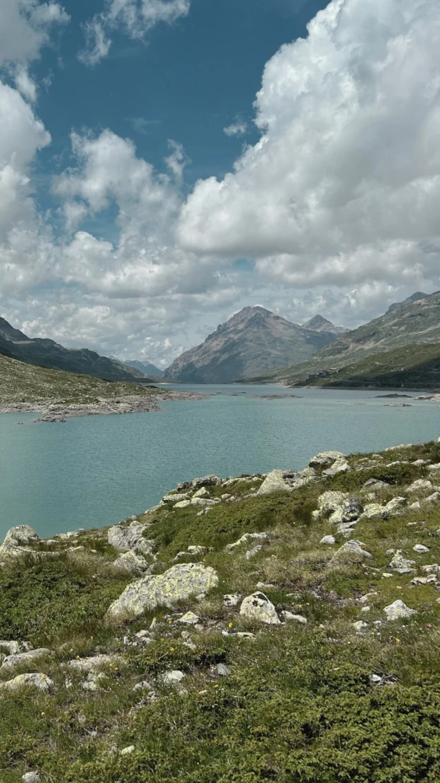 Cold plunging at 10–15°C 💧More and more voices – from both science and experience – are pointing to this:
You don’t need freezing water to enjoy the benefits of cold immersion.
For many women, water at this temperature might be just right: not extreme, yet still highly effective for the body and mind.Studies and personal reports suggest that ‘warmer cold’ plunges could support:
- Mood regulation
- menstrual and menopausal symptoms
- Stress relief and circulationPerhaps that’s a good reason to give it a try: gently ease in and see how you feel.Note: the research is still in its early stages. But we’re curious to see where it leads. Until then: Listen to your body and find your own sweet spot with the cold.#coldplunge #coldtherapy #gentlecold #10to15degrees #womenandcold #nervoussystemreset #hormonehealth #curiousaboutcold