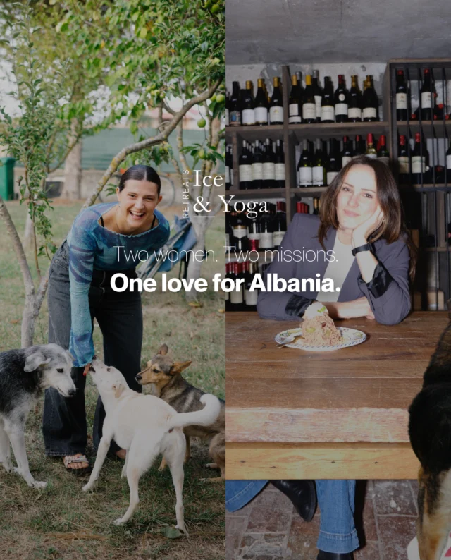 THE AZURE HORIZON RETREAT | 5–10 October 2026When Nives and Leta met, they instantly connected over one shared belief: travel should give back.That’s why for every spot booked at our Ice & Yoga Retreat in Albania, we’ll donate to @letaslittleworld to support Albania’s street animals. ❤️🇦🇱Because we believe travel should not only transform the people who visit a place, it should also leave something positive behind.Reserve your spot now via the link in our bio.#iceandyoga #albania #retreat