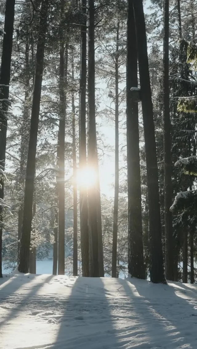 There are places that ask nothing from you.
They simply invite you to arrive.Deep in the snowy landscape of Labanoras Forest, surrounded by stillness and a private lake, this retreat unfolds in a setting that naturally slows the pace. Just forest, water, and winter light.It is powerful to witness what happens here.
When people step away from daily demands and into nature, something shifts. Clarity emerges. The body softens. Focus returns.And it is not only our guests who feel it.
As a team, we notice it every time.We are preparing the final details for the first week of the Baltic Experience retreat 2026 starting this Tuesday, and we cannot wait!And… a few last spots remain for those who feel ready to step into the forest with us in the second week: March 10-15.
Apply via link in bio.