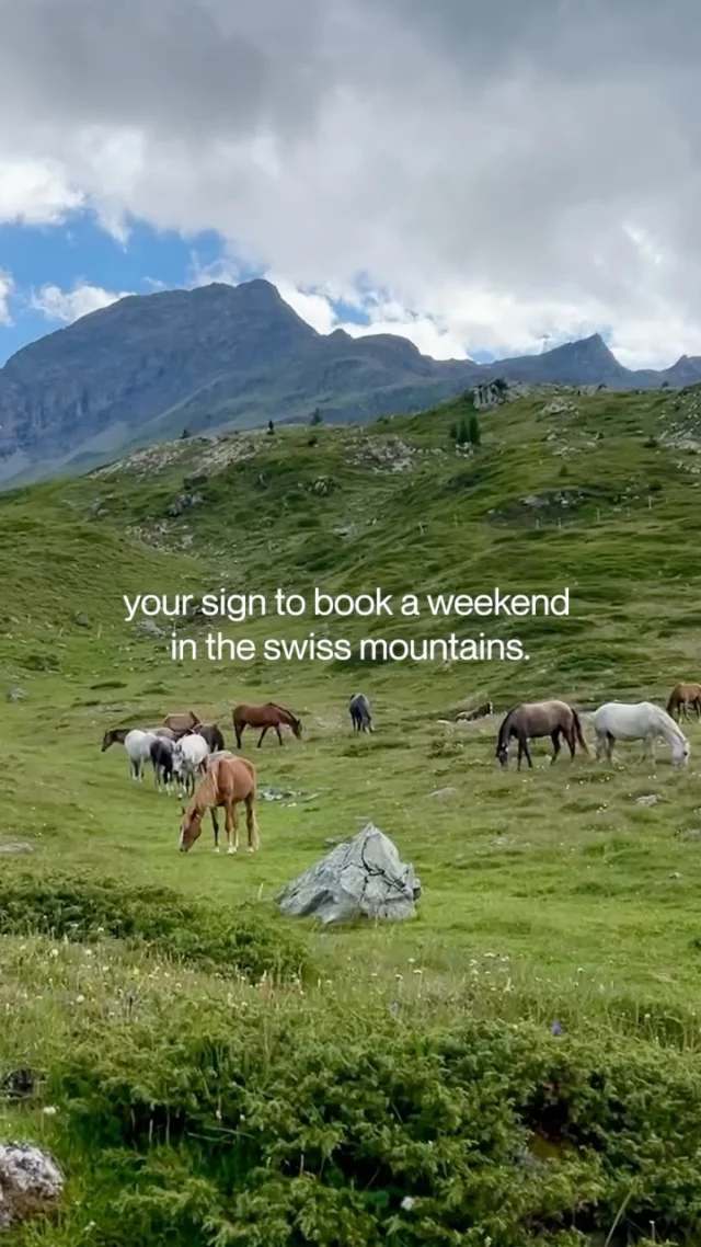 Your sign to book a weekend in the Swiss mountains.Cold plunges, yoga, alpine hikes, and picnics by the lake. No rush, no noise. Just fresh air and moments that stay with you.Who's joining? → link in bio#alpineretreat #iceandyoga #swissmountains *#stmoritz*