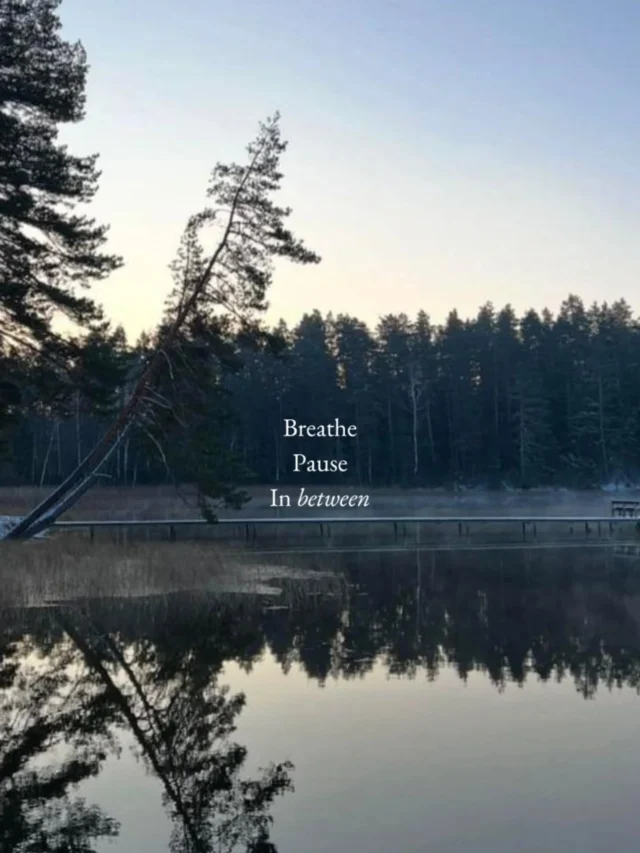 Between the years, time feels different.You might feel different.
Resting in the in-between.A moment to return to yourself.Ice & Yoga
.
.
.
.
.
.
.
.
.