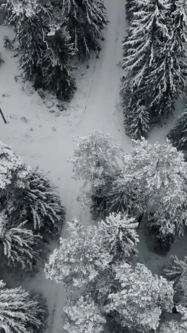 Behind every retreat is a team.Hosting with care takes more than a vision.
It takes trust, experience, and people who know their craft.In this chapter of our new series, you meet the women who brought our first retreat in Lithuania to life.
Nives as host, holding the vision and guests.
Fabienne guiding yoga with clarity and presence.
Nina creating food that nourished far beyond the plate.Alongside them, Inga holding the sauna rituals and Greta guiding the ice, each bringing depth, professionalism, and calm to the experience.Different personalities. Different disciplines.
One shared intention.You can feel the harmony in how they work together, grounded, attentive, and deeply committed to creating a space where guests feel cared for from start to finish.This retreat is shaped by women who lead with skill, responsibility, and genuine love for what they do.
And that energy became part of everything.Join us this March 2026 and experience the magic. Link and details in bio.