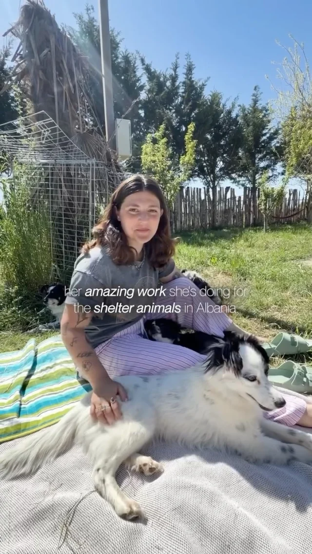 Every spot booked at our Ice & Yoga Retreat in Albania comes with a little extra impact. For each guest, we donate to @letaslittleworld, giving rescued street dogs the shelter and love they deserve.The Azure Horizon Retreat | 5–10 October 2026Reserve your spot via the link in bio. 🇦🇱❤️#IceAndYoga #AzureHorizon #Albania #TravelWithPurpose